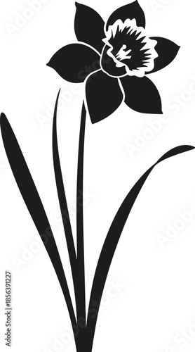 Daffodil flower silhouette vector graphic isolated on white background