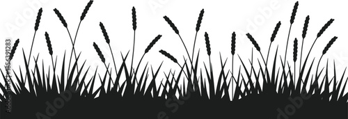 Black silhouette of tall grass stalks and blades against a white background vector 1