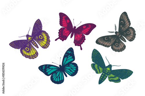 Set of butterfly futuristic effect retro photocopy, vector surrealism contemporary illustration grunge noise colorful tattoo, contemporary surreal art design illustration