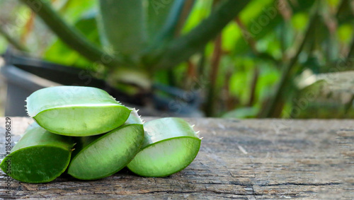 Aloe vera leaves resting on old wooden boards, natural look, room for copy space