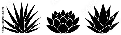 Black silhouettes of agave artichoke and succulent leaf clusters white background plant