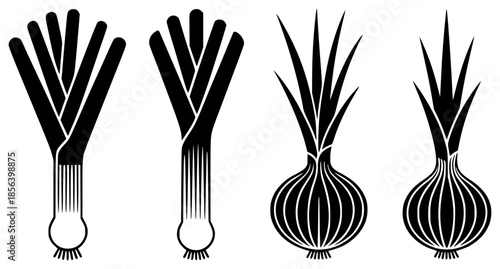 Stylized black and white of leeks and bulb onions green vegetable
