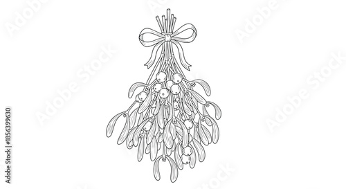 Detailed Hand-Drawn Mistletoe Bundle with Decorative Bow - Festive Monochrome Botanical Illustration