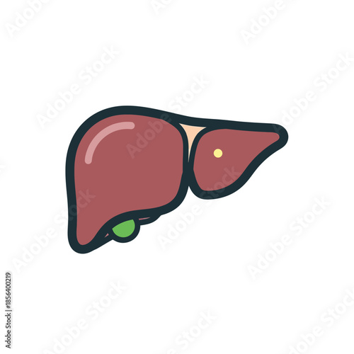 Anatomical Liver Graphic Medical Health and Wellness Symbol