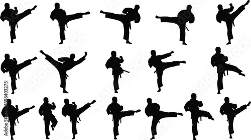 Karate martial arts silhouettes set, fighter kicking and training in kimono vector illustration, taekwondo judo combat action icons, sport competition exercise collection,