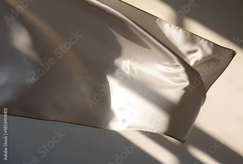 Grey Velvet Drapery