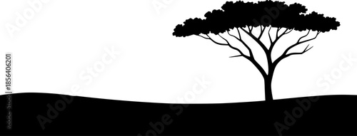 Silhouette of an acacia tree with a rounded canopy and spreading branches a white background with a black foreground