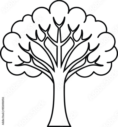 Minimalist tree line art vector with rounded canopy and branching trunk