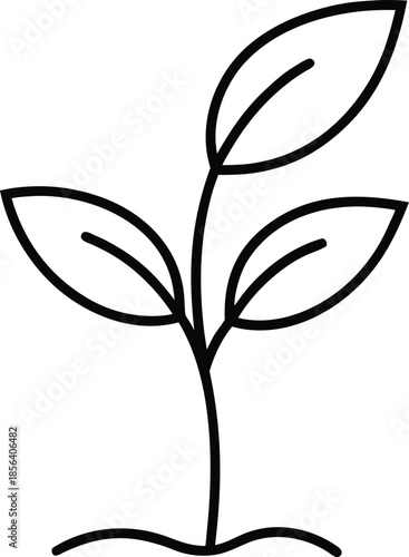 Growing plant line art vector with three leaves sprout