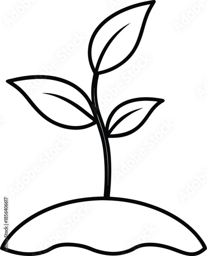 Seedling line art vector with three leaves emerging from soil 2