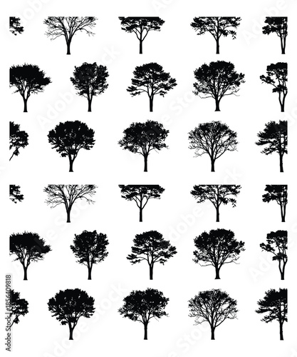 Nature’s architecture. OR Finding beauty in the silhouette.