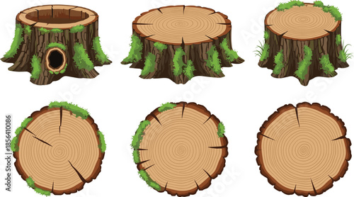 Tree stump illustration set, wooden log cross section collection, forest cut trunk slices, nature wood elements graphic