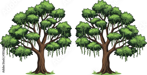 Weeping tree illustration set, lush green foliage trees, hanging leaves design, nature landscape vector artwork collection