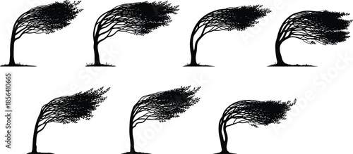 Wind blown tree silhouettes, strong wind nature illustration, bent trees graphic set, storm landscape vector artwork