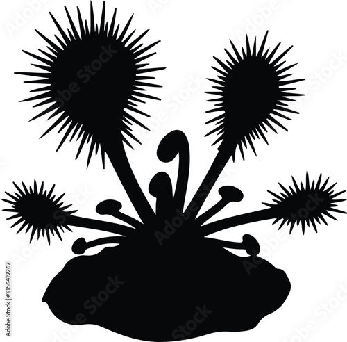 Silhouette Carnivorous Sundew Plant Insectivore Predator Creature Vector Illustration