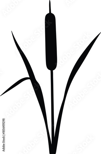 Silhouette cattail plant with green leaves vector illustration