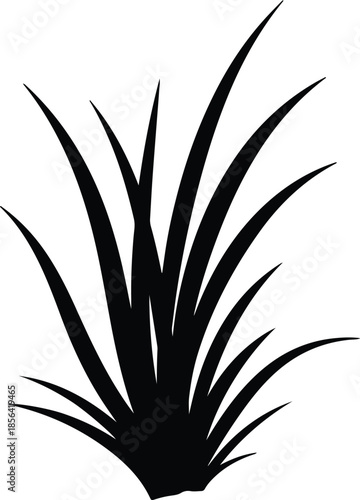 Silhouette grass clump natural wild plant element Vector Illustration