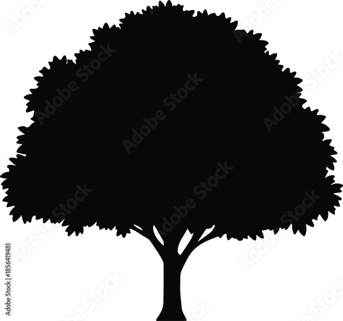 Silhouette Large Deciduous Tree Nature Environment Botany Icon Vector Illustration