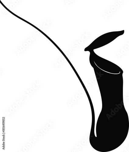 Silhouette of a pitcher plant with long tendril vector illustration