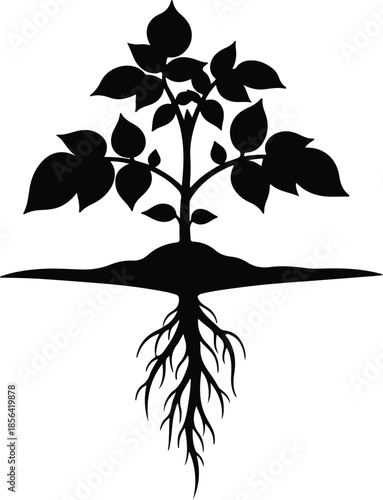 Silhouette of a plant with leaves and roots Vector Illustration