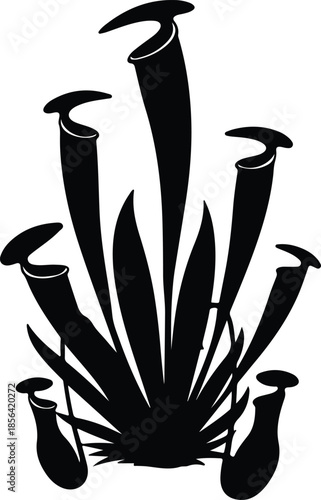 Silhouette pitcher plants arrangement exotic carnivorous flora Vector Illustration