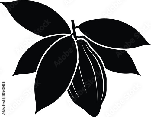 Silhouette Tropical Cocoa Pod with Lush Leaves Botanical Graphic Vector Illustration
