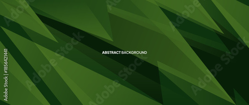 Abstract green background with dark light line object across to the right side. luxury elements vector illustration.