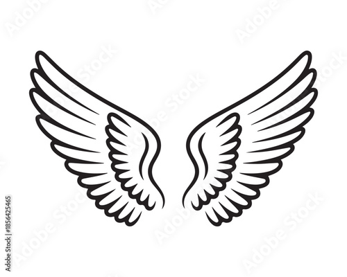 Illustrated pair of angel wings
