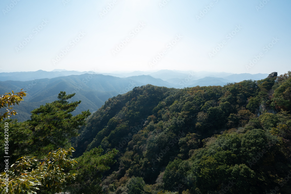Fototapeta premium 韓国のテドゥンサン登山