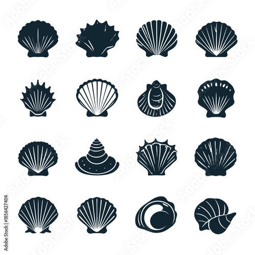 Collection of stylized seashell illustrations in black and white isolated on white