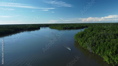 A beautiful aerial view from a boat on the river and lush mangrove forests. The intertwined network of trees stands tall in the calm waters, providing vital habitat and protecting the coastline.