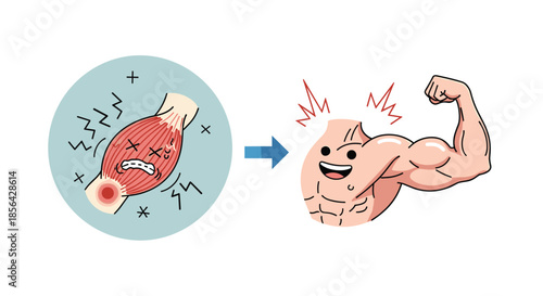 Anatomy illustration showing an aching damaged muscle transforming into a strong muscular arm to represent fitness and physical therapy.