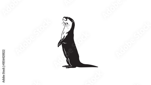 A black and white image of a penguin standing upright
