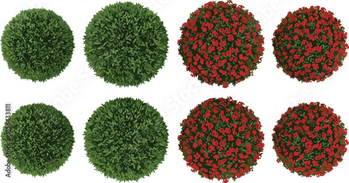 Round garden bushes illustration set, green shrubs and red flowering plants, landscape design elements, realistic top view vector collection