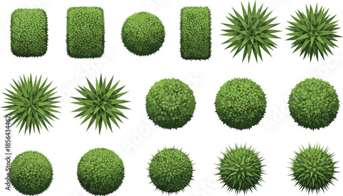 Top view bushes and shrubs set, green garden plants collection for landscape design, park, map, illustration