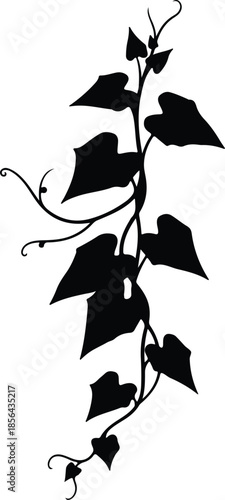 Silhouette climbing plant with leaves and tendrils Vector Illustration