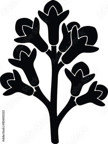 Silhouette clove spice plant with buds and branches Vector Illustration