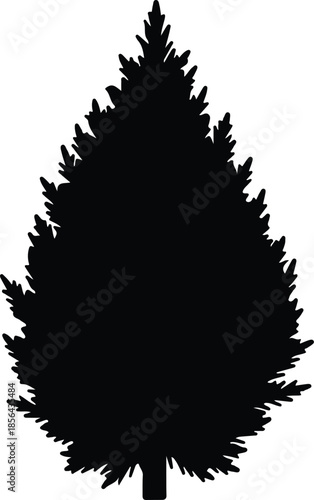 Silhouette of a conical pine tree with textured branches Vector Illustration