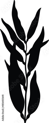 Silhouette of a green plant branch with oval leaves Vector Illustration