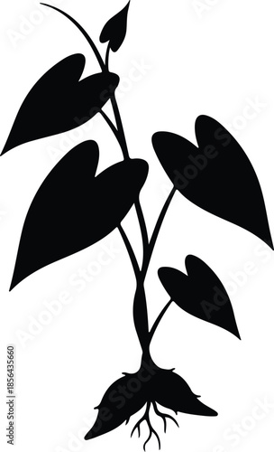 Silhouette of a growing plant with leaves and roots Vector Illustration