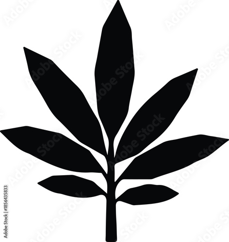 Silhouette of a plant with multiple pointed leaves Vector Illustration