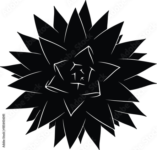 Silhouette of a succulent plant top view vector illustration