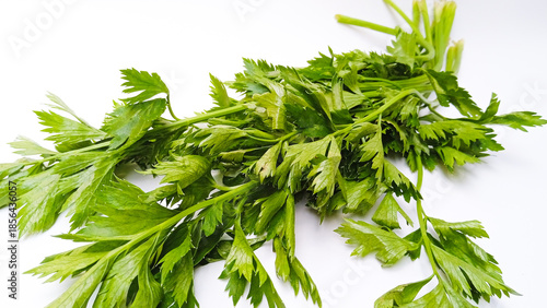 Bunch of fresh leaf celery stalks and leaves isolated on white background.