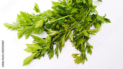 Bunch of fresh leaf celery stalks and leaves isolated on white background.