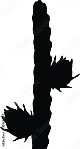Silhouette of a tall cactus with two blooming flowers Vector Illustration