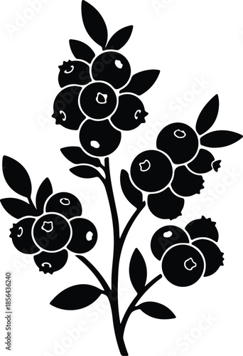 Silhouette of fresh blueberry branches with green leaves vector illustration