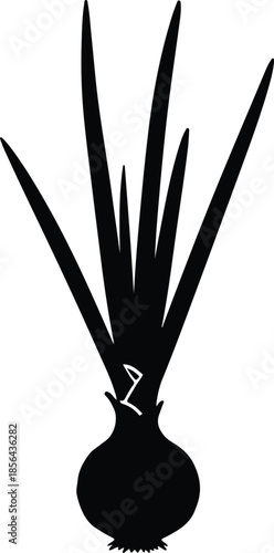 Silhouette of fresh green onion plant growing from bulb Vector Illustration