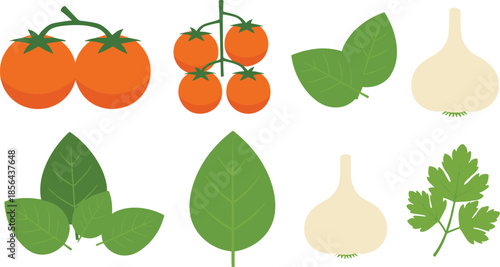 Fresh organic cooking ingredients vector illustration set featuring red tomatoes on vine garlic bulbs green basil leaves and parsley isolated on white background