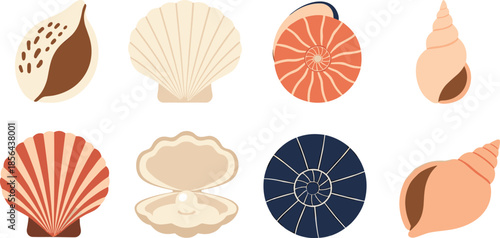 Sea shell vector illustration set with various ocean shells including scallop oyster with pearl spiral conch and colorful nautical elements isolated on white background
