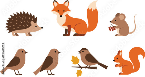 Forest animal vector illustration set featuring cute fox hedgehog squirrel mouse and brown birds isolated on white background for autumn nature and wildlife design projects